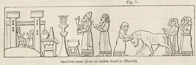plate144a